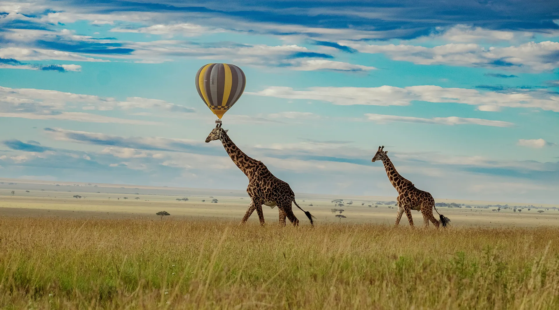 10 Days Best of East Africa